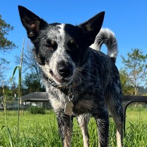 Meet your Posher, Macayla